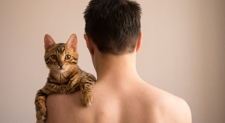 猫を飼う独身男性心理
